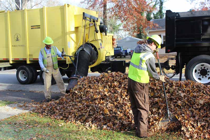 removal of leaves